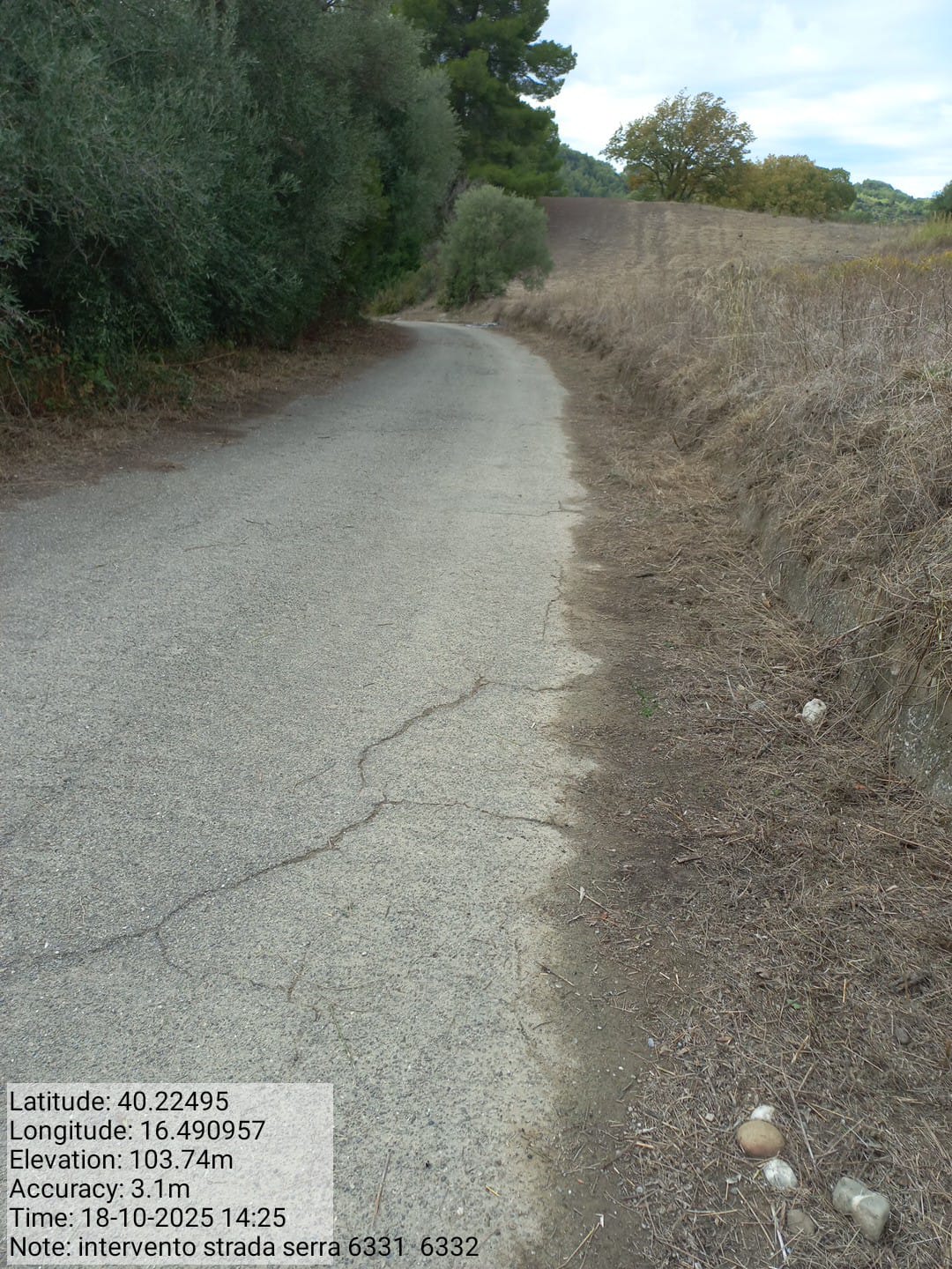 Galleria Fotografica Immagine