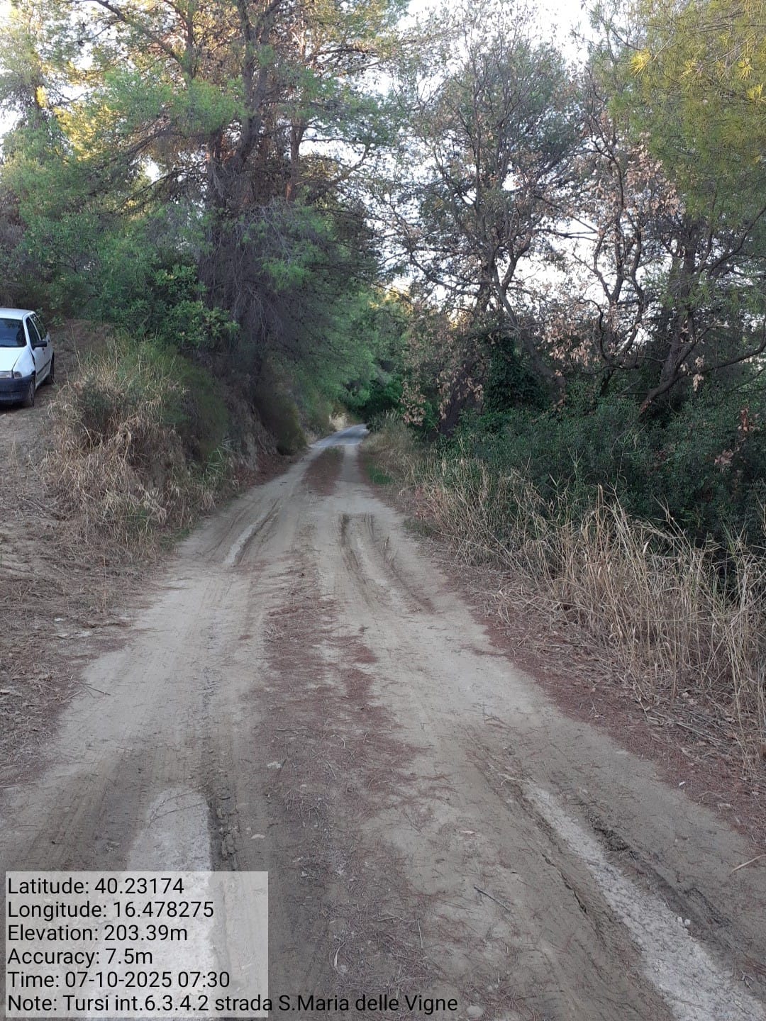 Galleria Fotografica Immagine