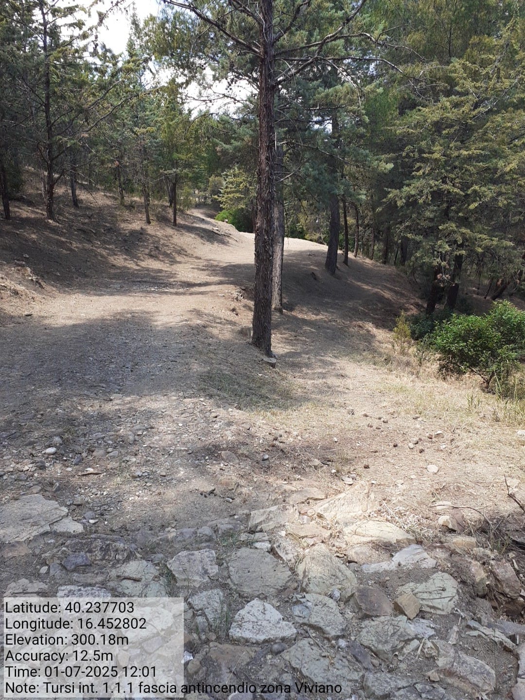 Galleria Fotografica Immagine