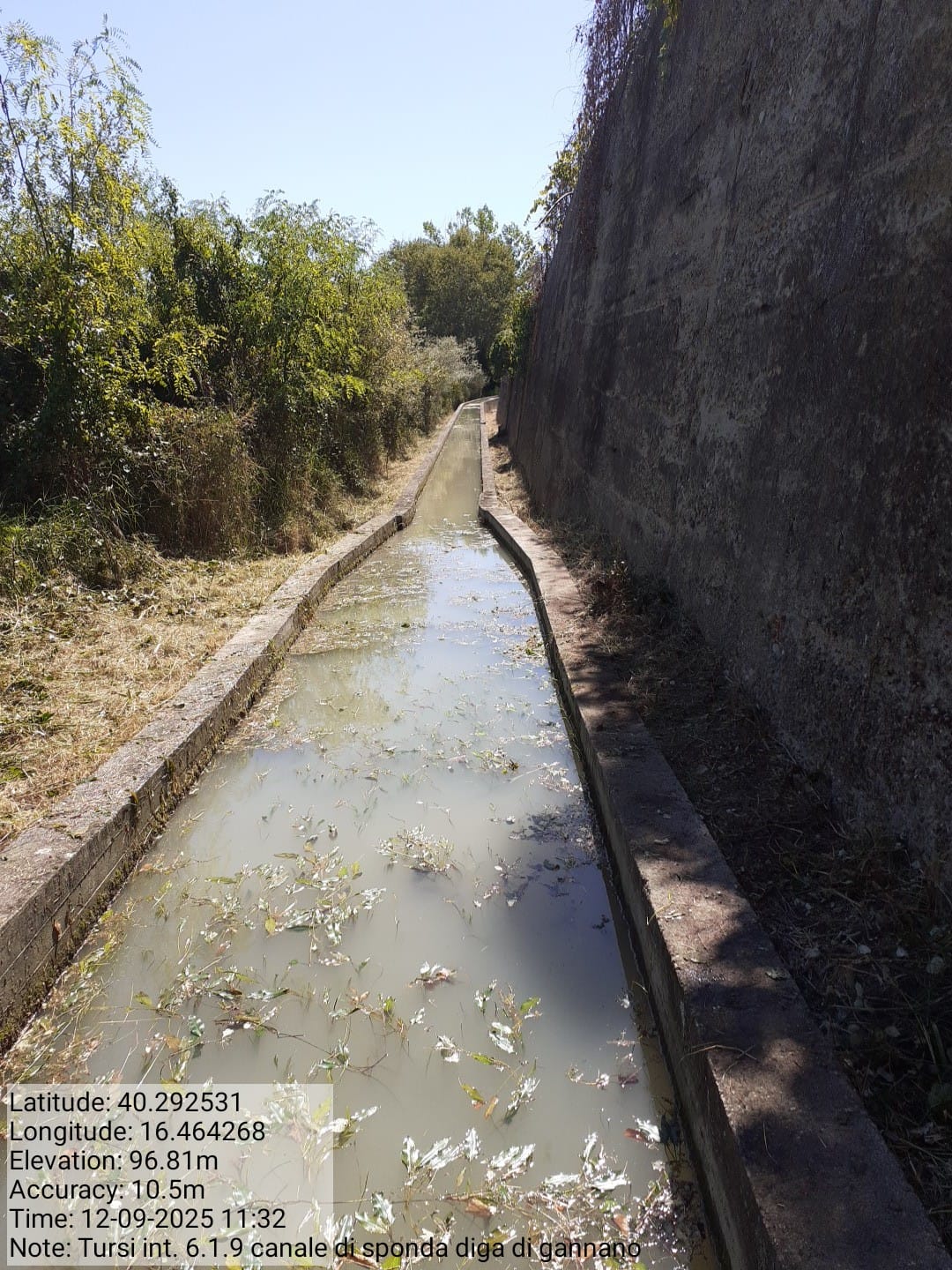 Galleria Fotografica Immagine