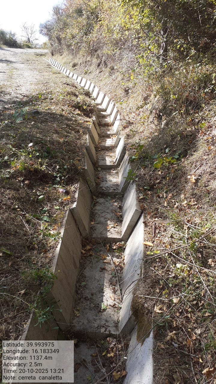 Galleria Fotografica Immagine