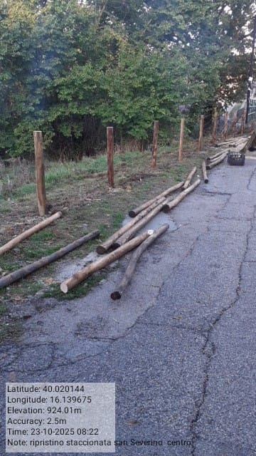 Galleria Fotografica Immagine