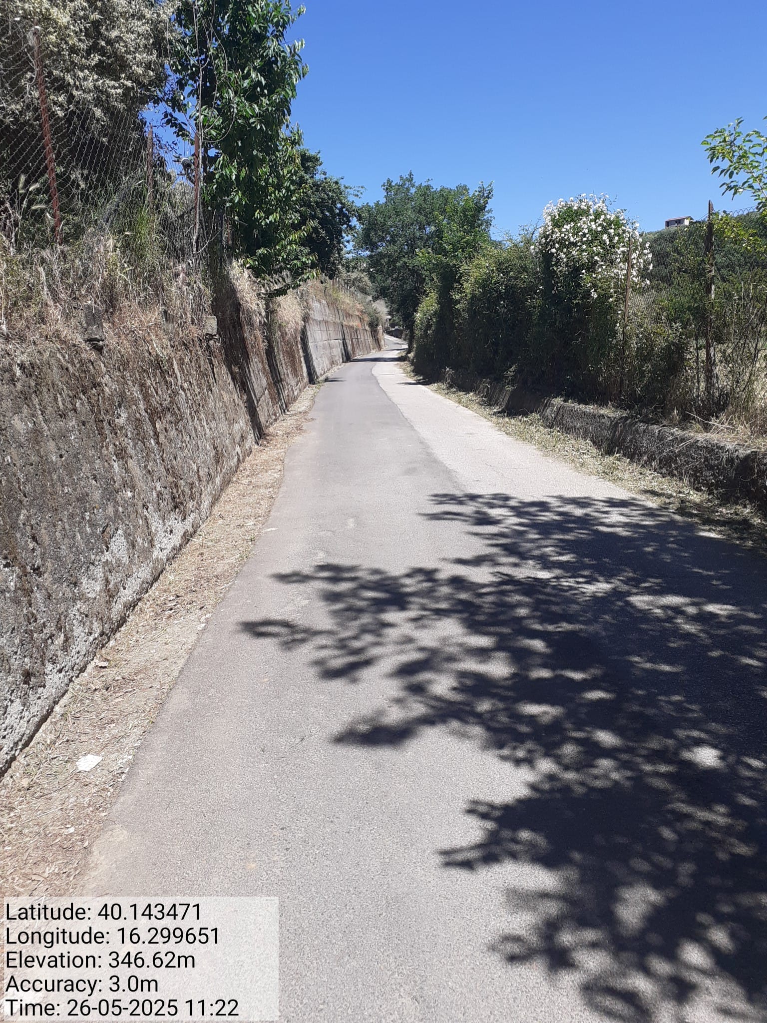 Galleria Fotografica Immagine