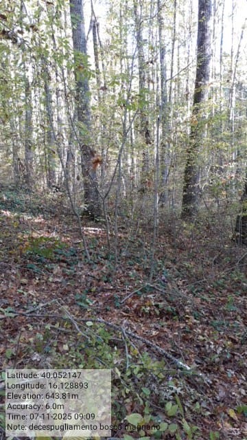 Galleria Fotografica Immagine