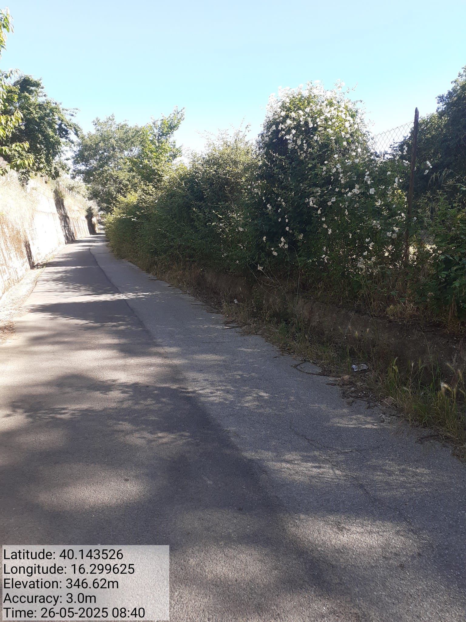 Galleria Fotografica Immagine