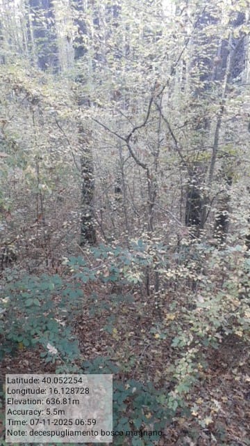 Galleria Fotografica Immagine