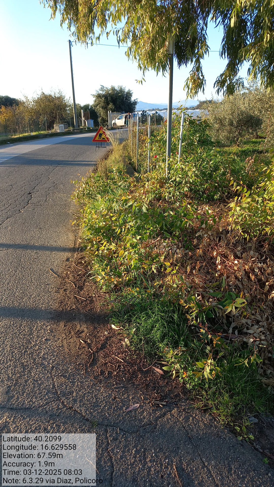 Galleria Fotografica Immagine