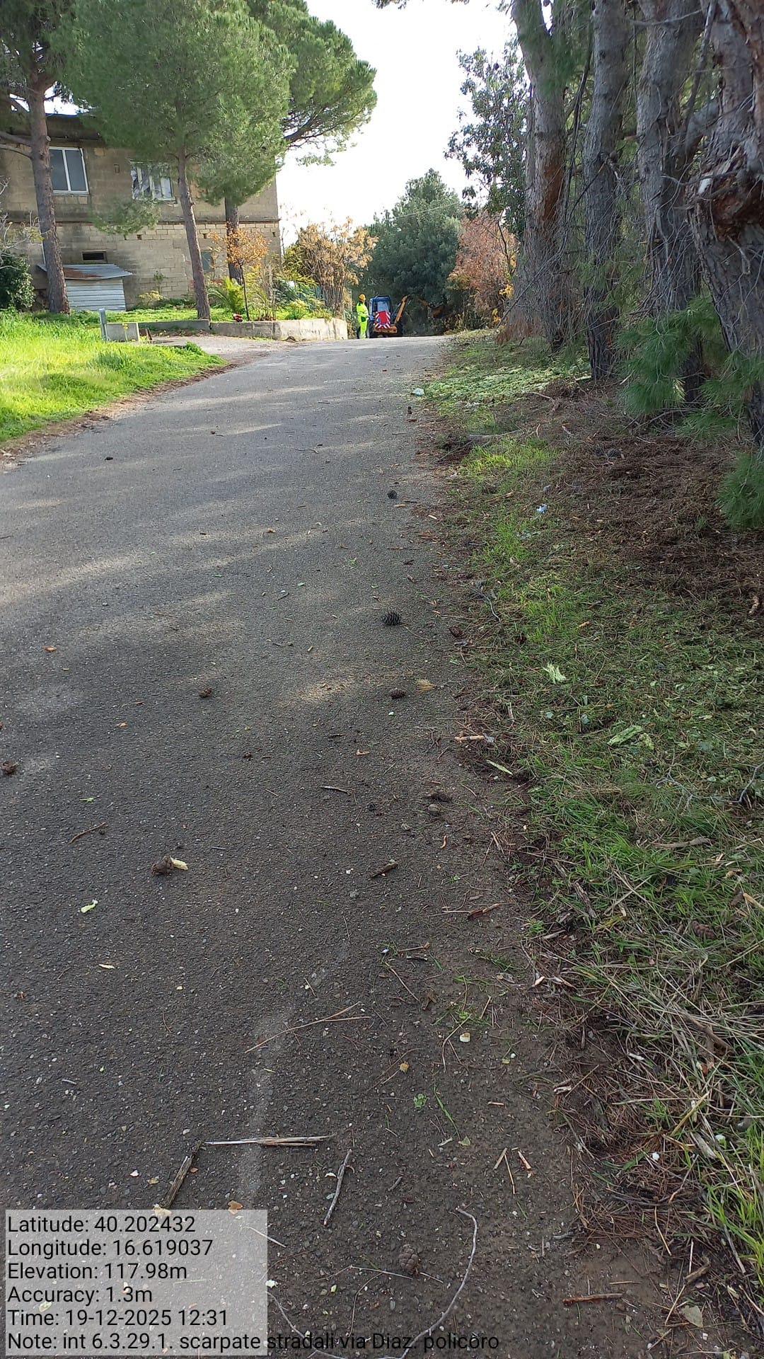 Galleria Fotografica Immagine