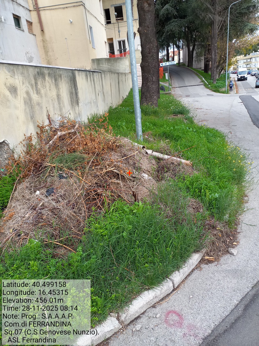 Galleria Fotografica Immagine