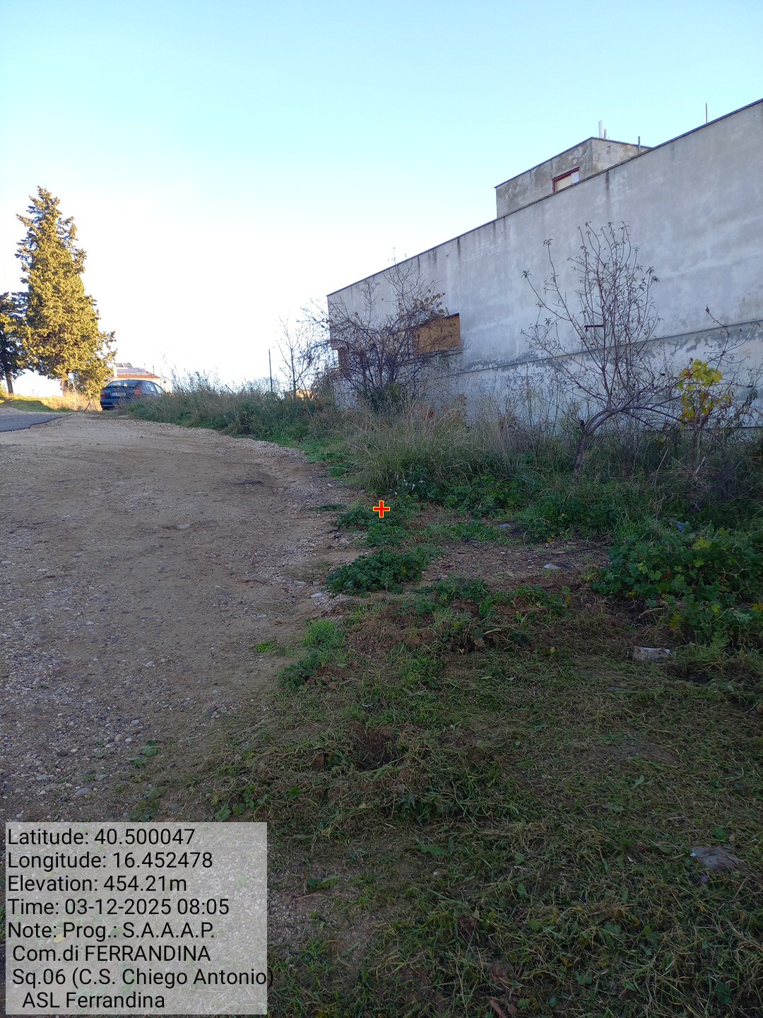 Galleria Fotografica Immagine