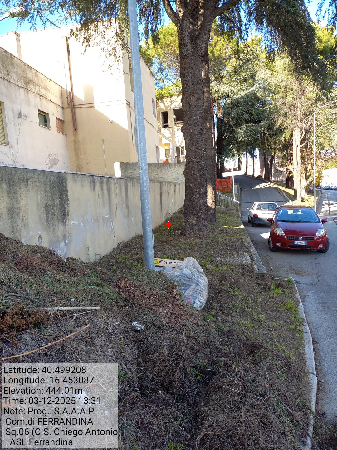 Galleria Fotografica Immagine