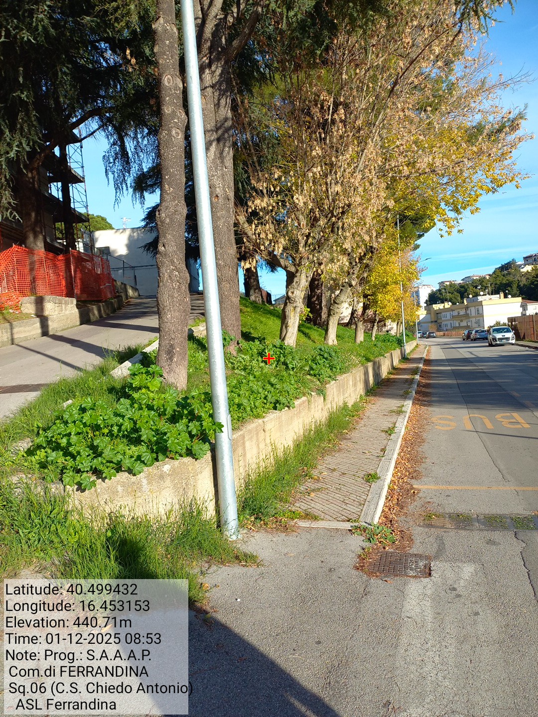 Galleria Fotografica Immagine