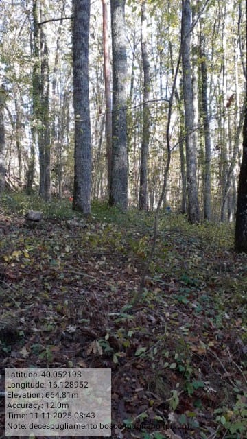 Galleria Fotografica Immagine