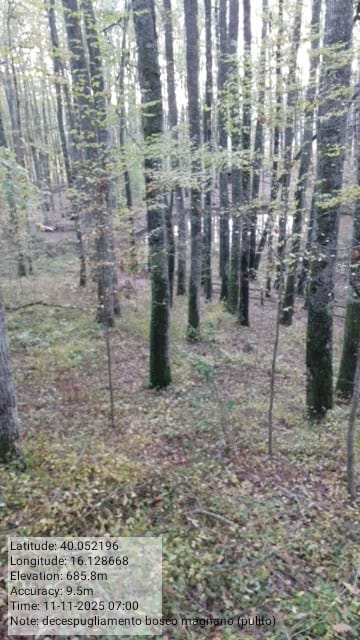 Galleria Fotografica Immagine