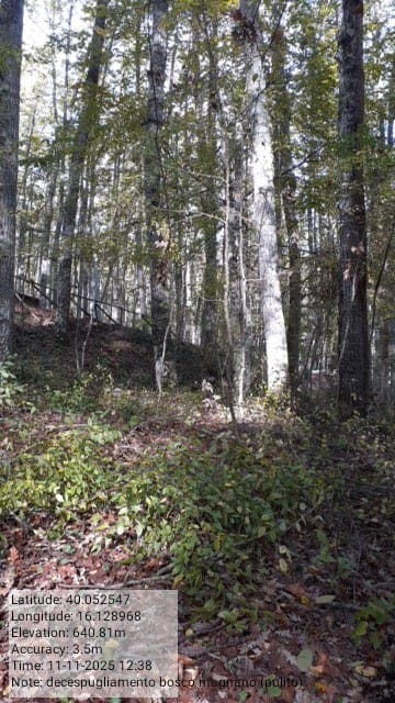 Galleria Fotografica Immagine