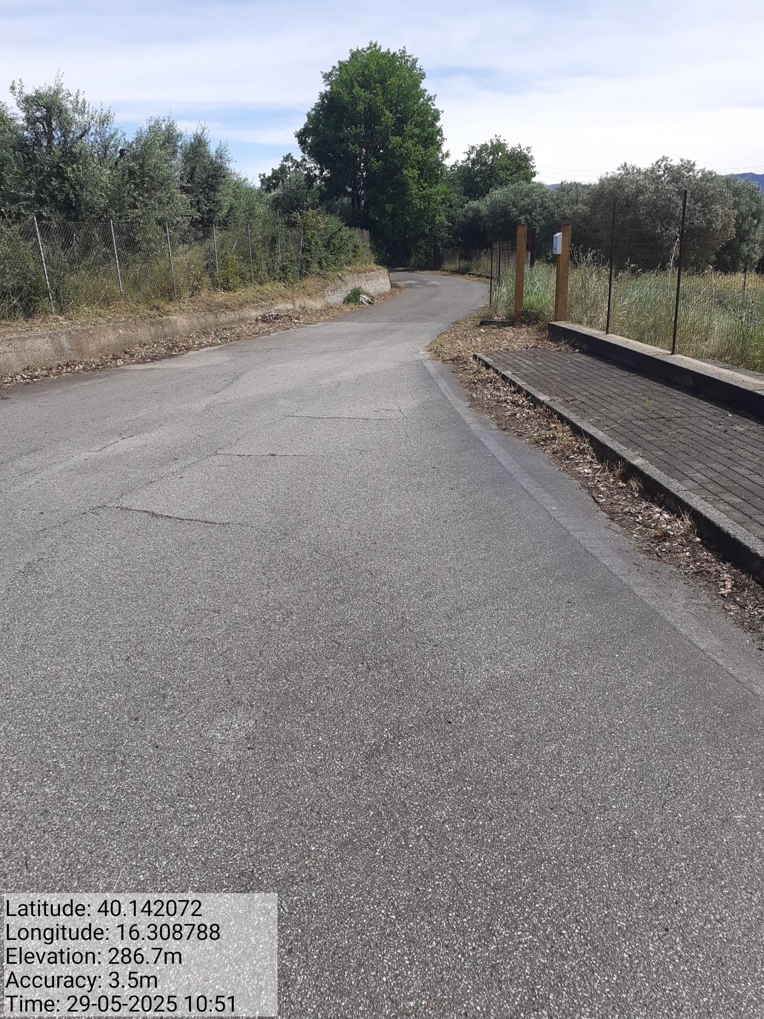 Galleria Fotografica Immagine