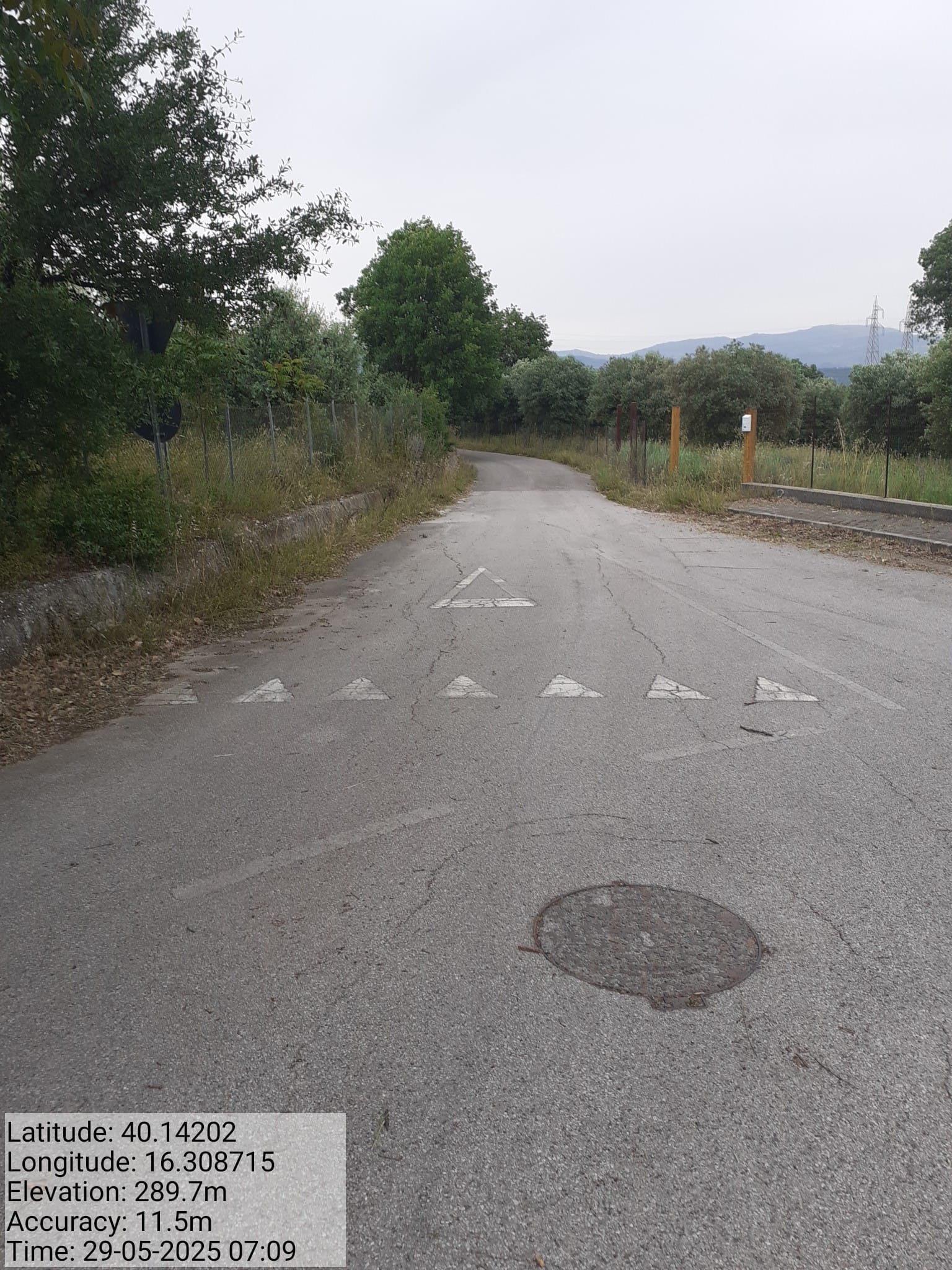 Galleria Fotografica Immagine