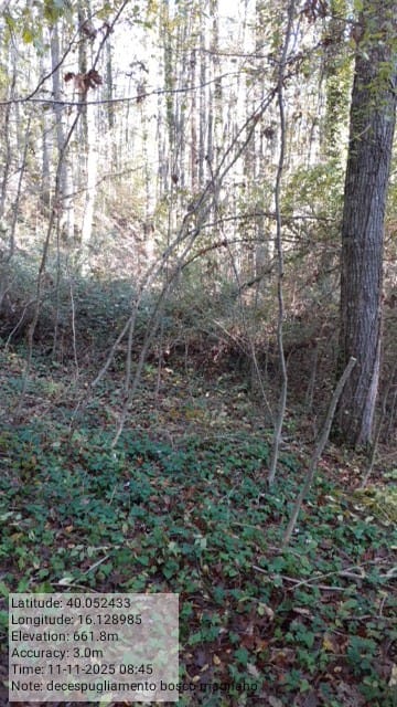 Galleria Fotografica Immagine