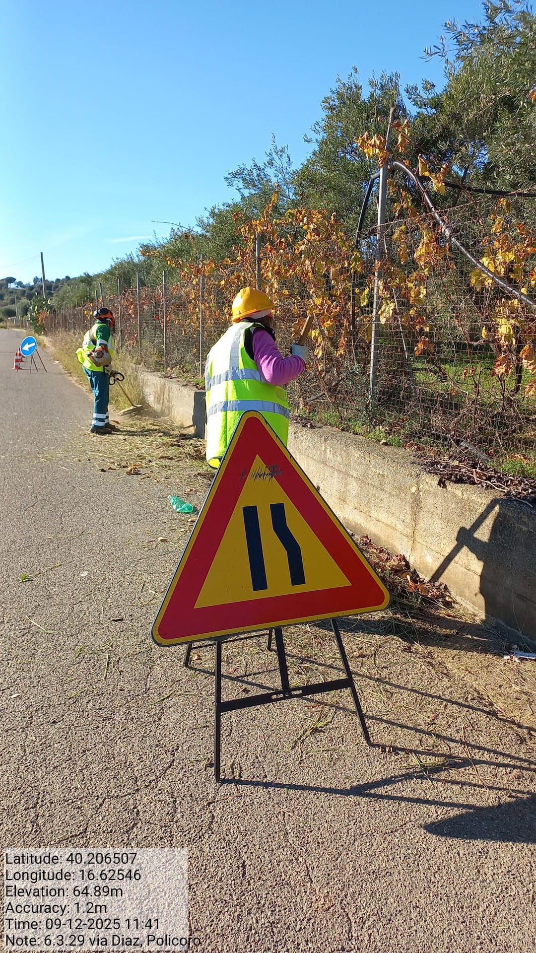 Galleria Fotografica Immagine