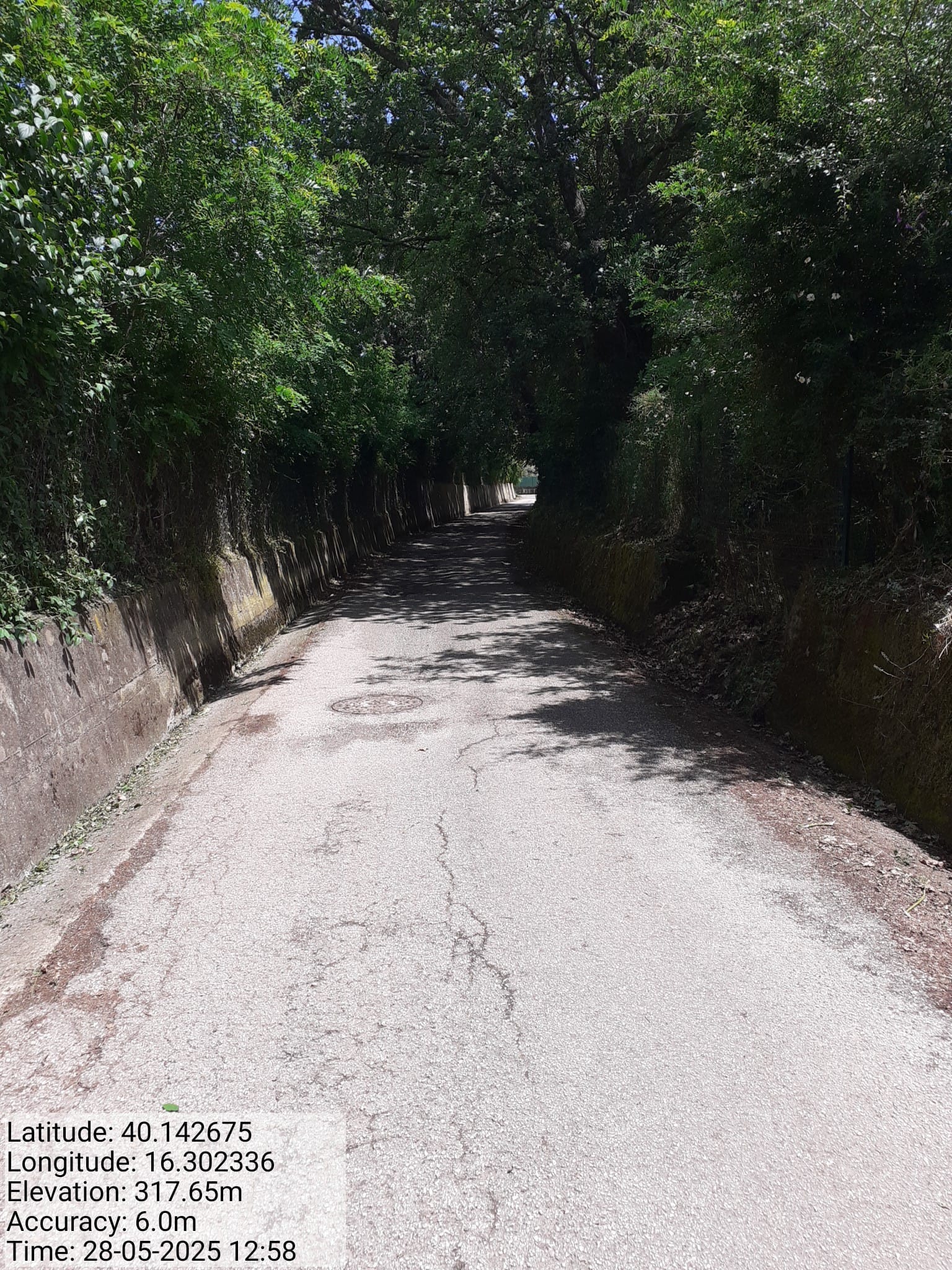 Galleria Fotografica Immagine