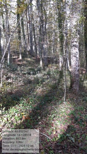 Galleria Fotografica Immagine