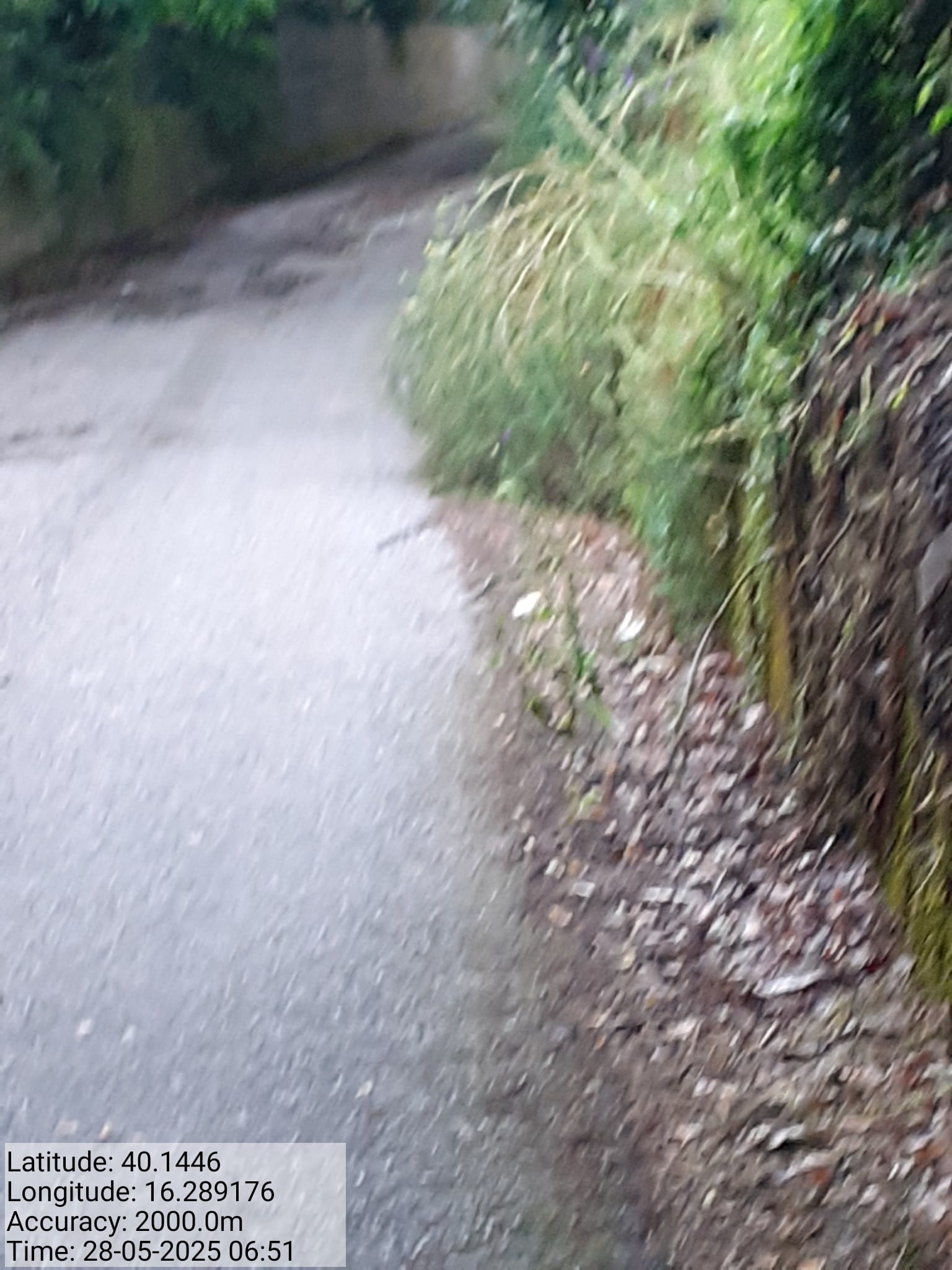 Galleria Fotografica Immagine