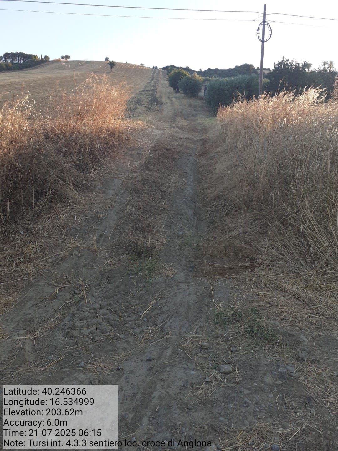 Galleria Fotografica Immagine