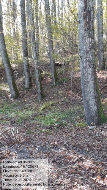 Galleria Fotografica Immagine