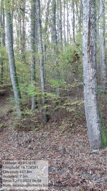 Galleria Fotografica Immagine