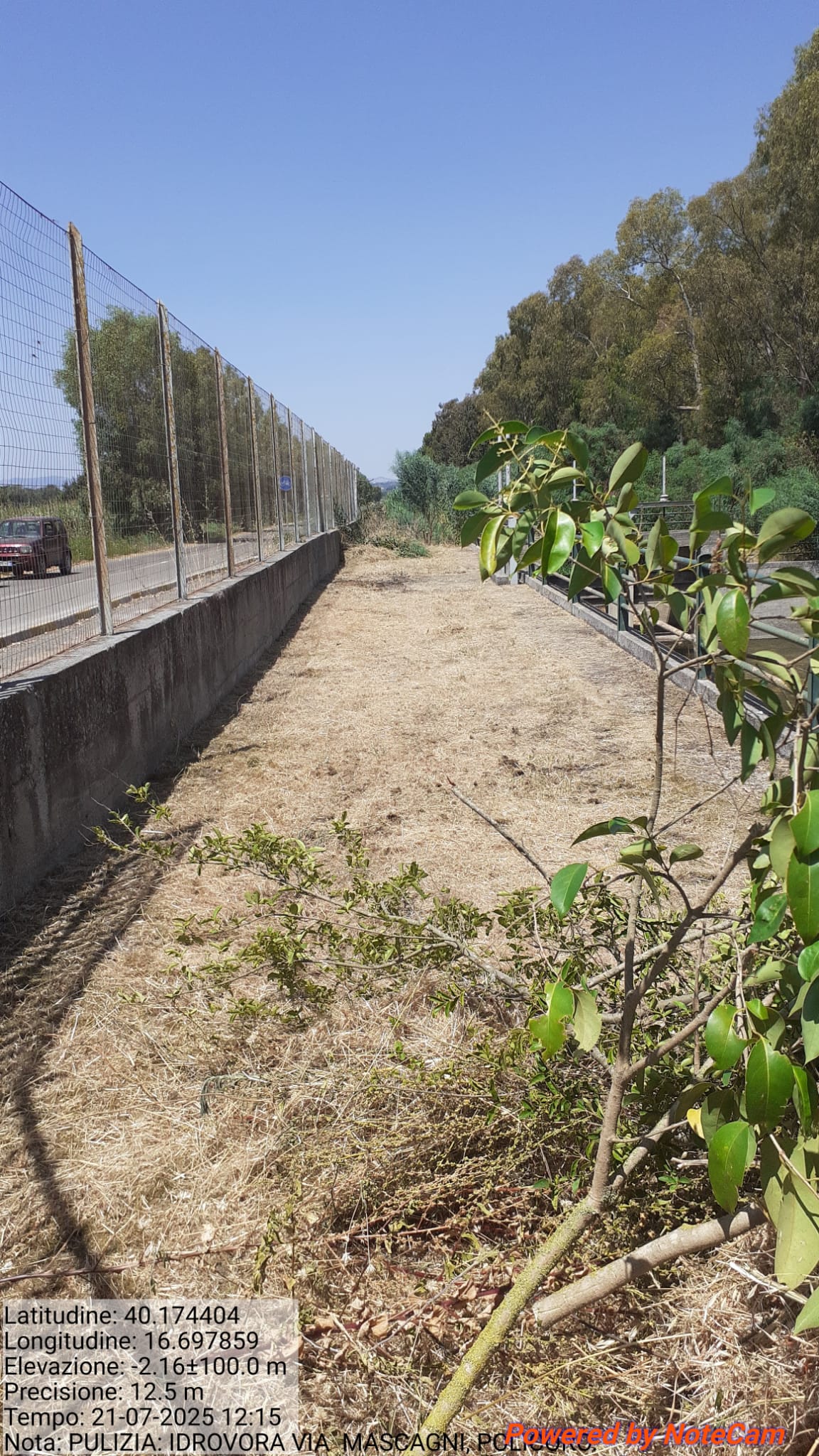 Galleria Fotografica Immagine