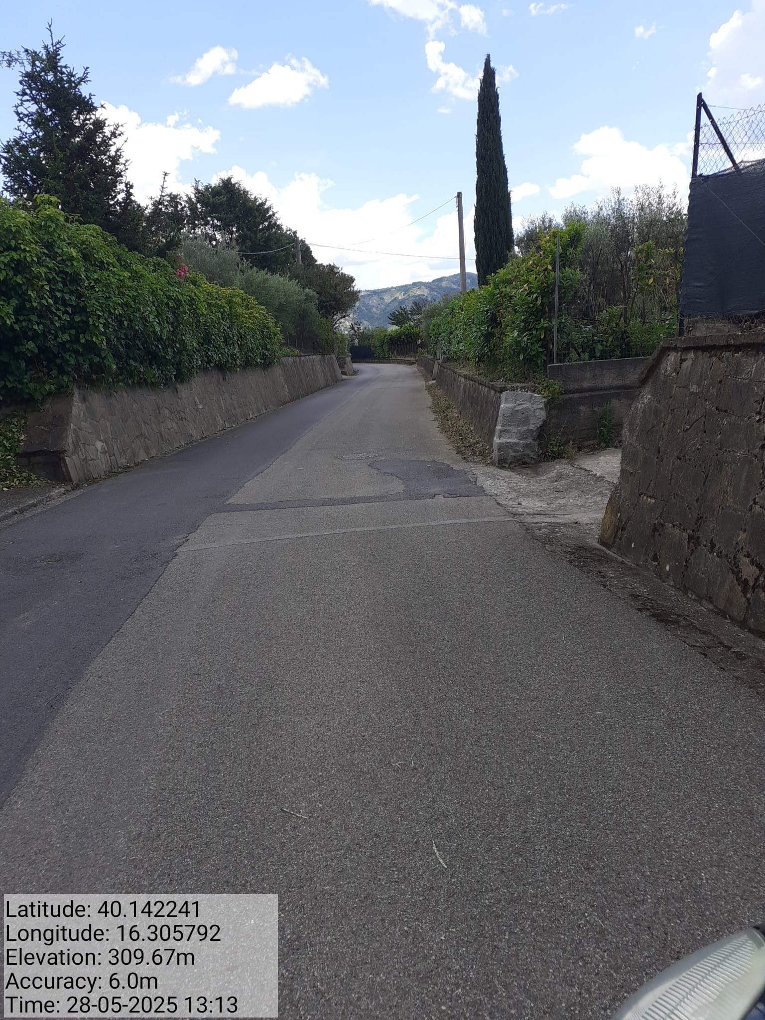 Galleria Fotografica Immagine