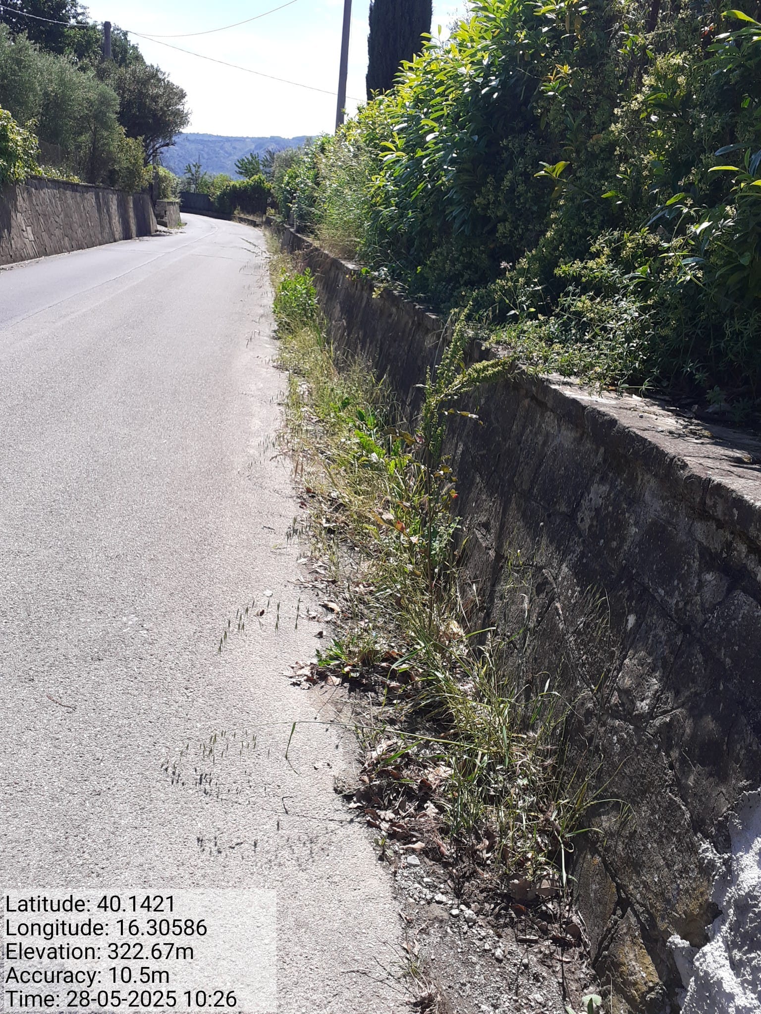 Galleria Fotografica Immagine