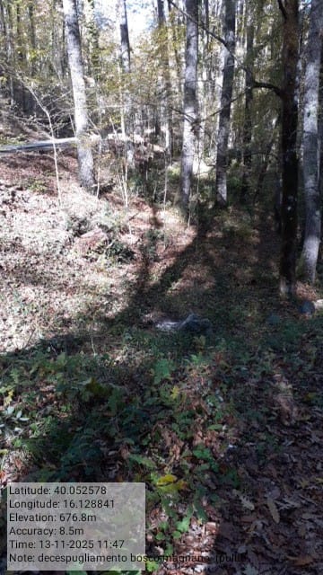 Galleria Fotografica Immagine