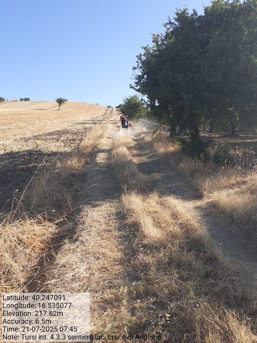 Galleria Fotografica Immagine