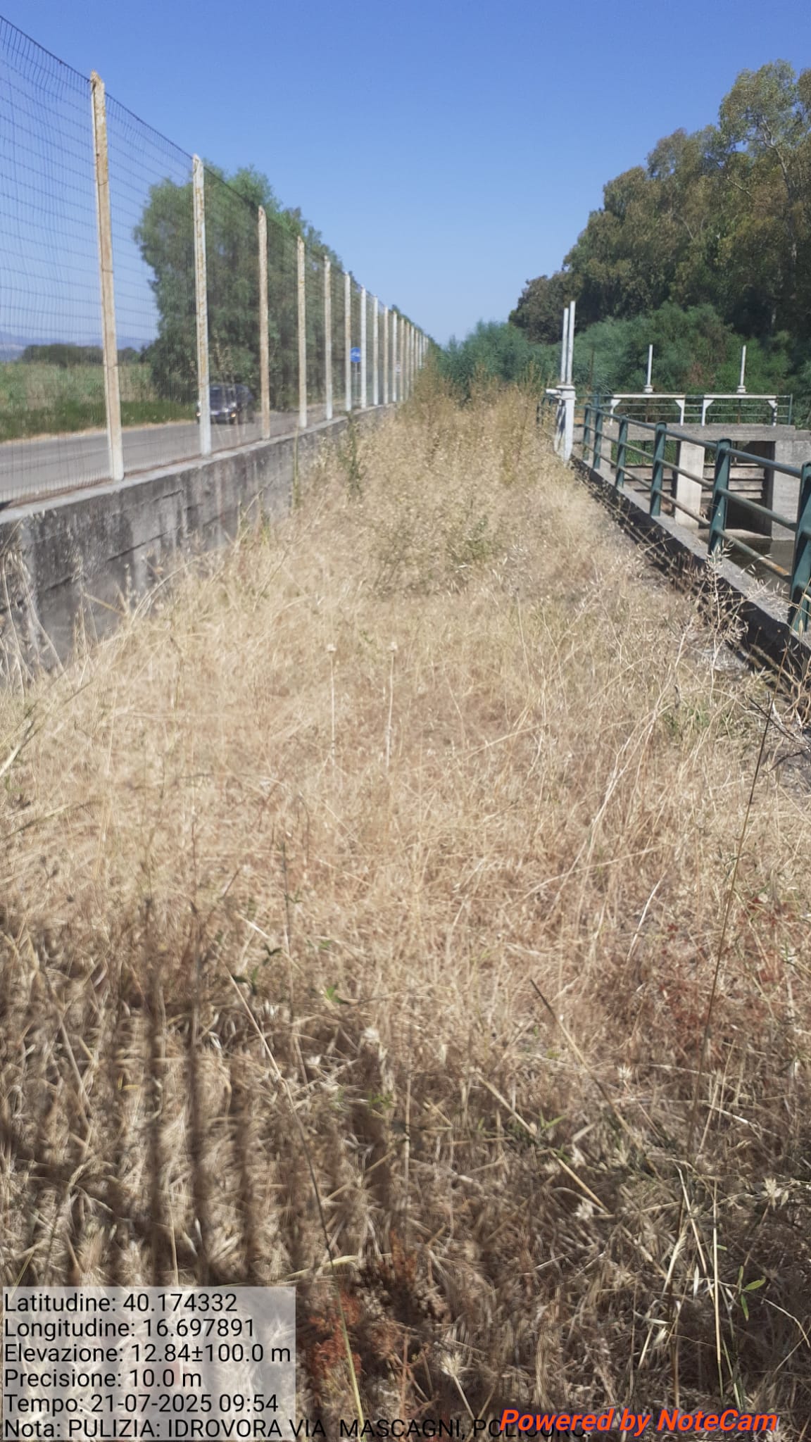 Galleria Fotografica Immagine