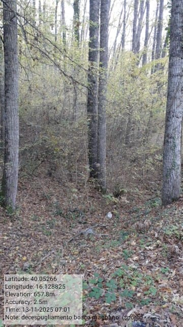 Galleria Fotografica Immagine