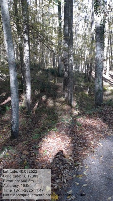 Galleria Fotografica Immagine