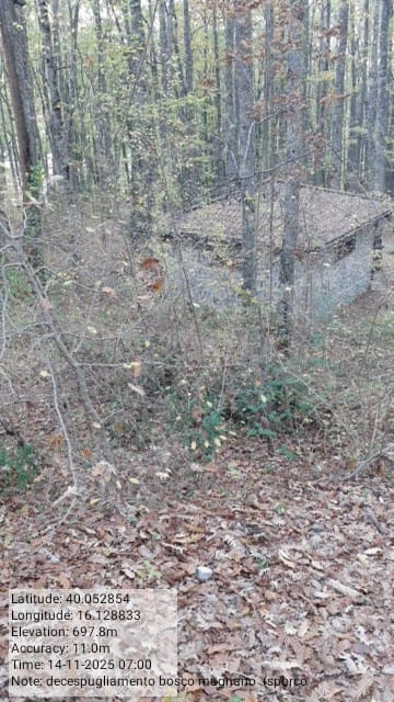 Galleria Fotografica Immagine