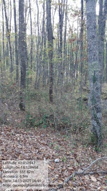 Galleria Fotografica Immagine