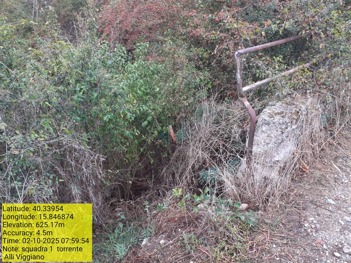 Galleria Fotografica Immagine