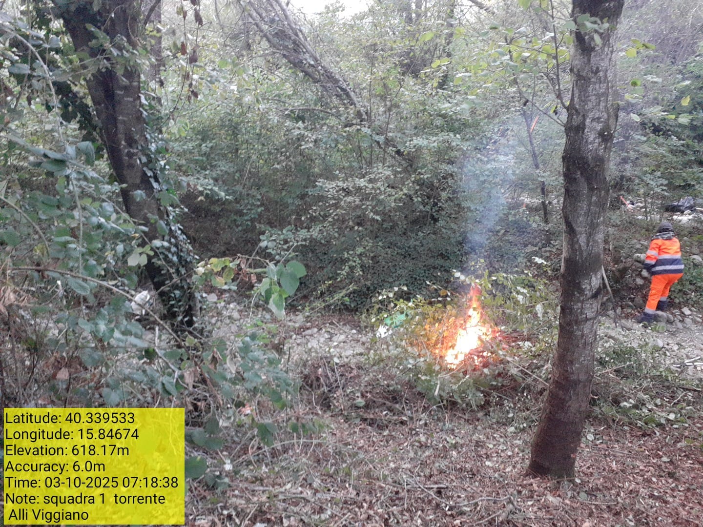 Galleria Fotografica Immagine