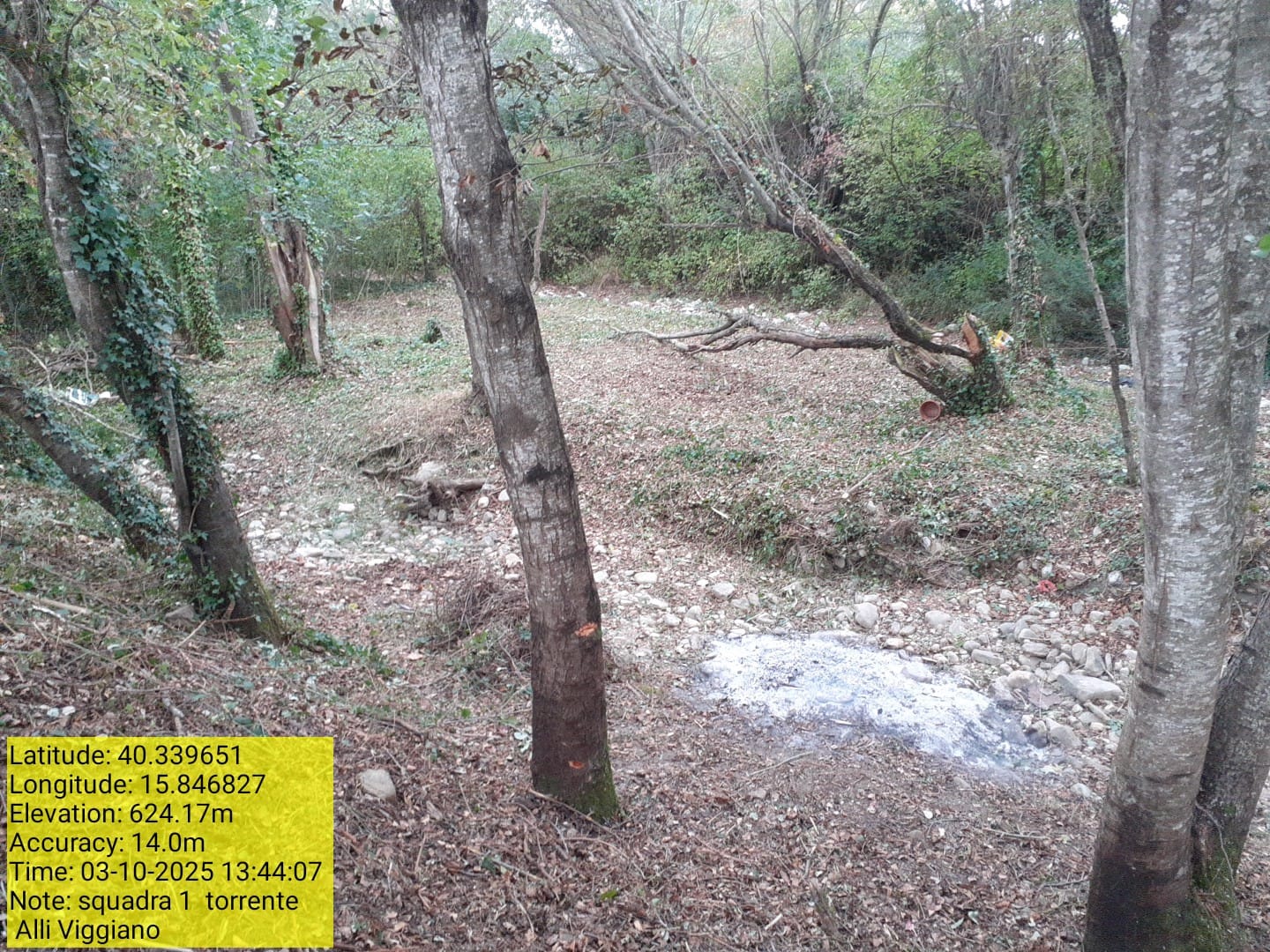 Galleria Fotografica Immagine