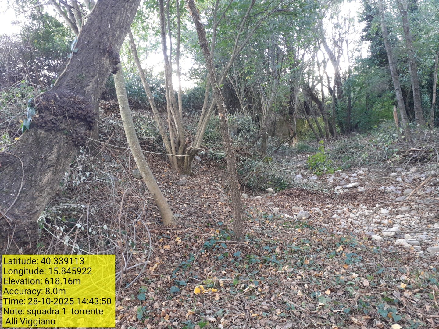 Galleria Fotografica Immagine