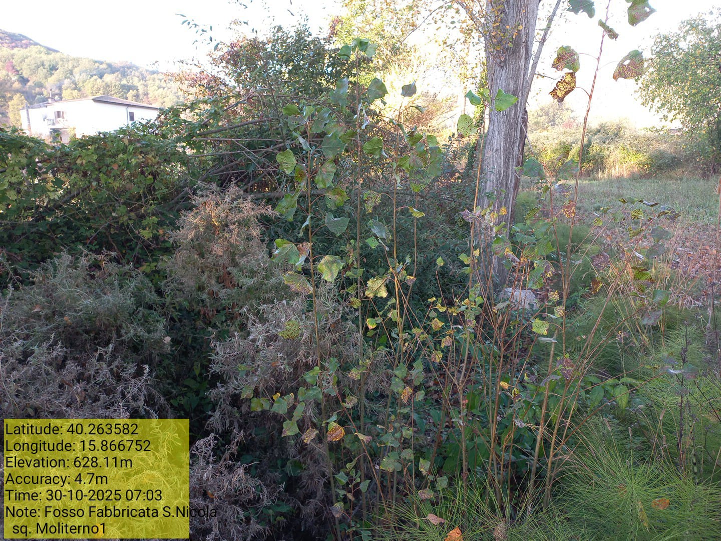 Galleria Fotografica Immagine