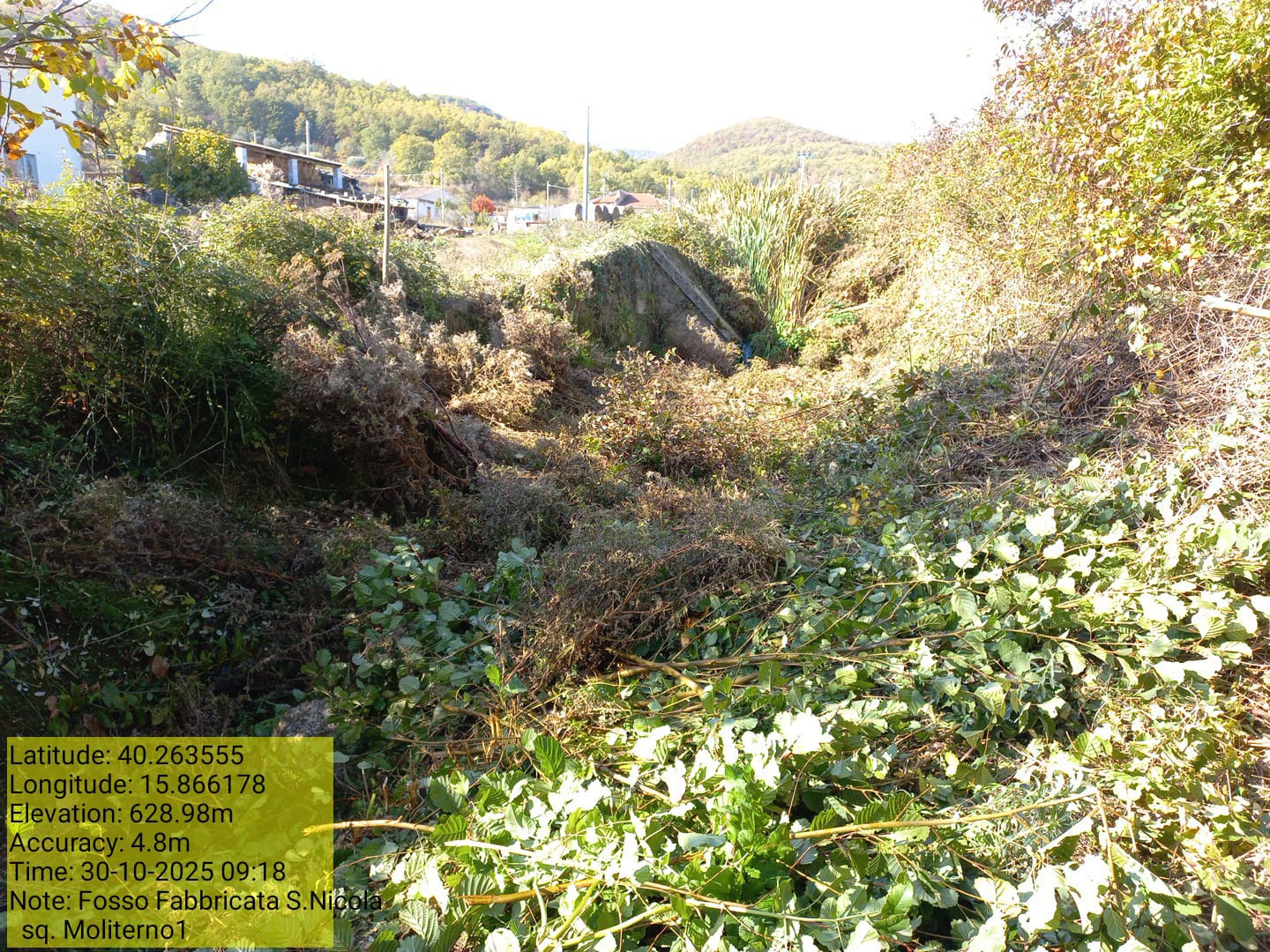 Galleria Fotografica Immagine