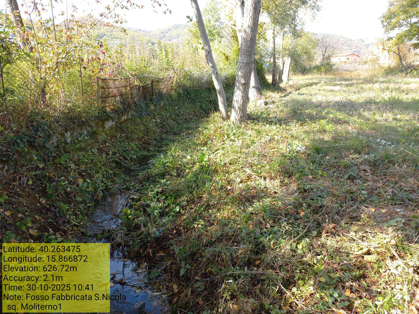 Galleria Fotografica Immagine