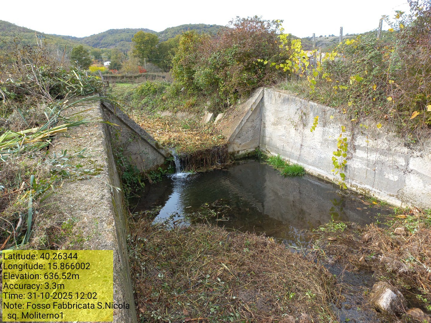 Galleria Fotografica Immagine