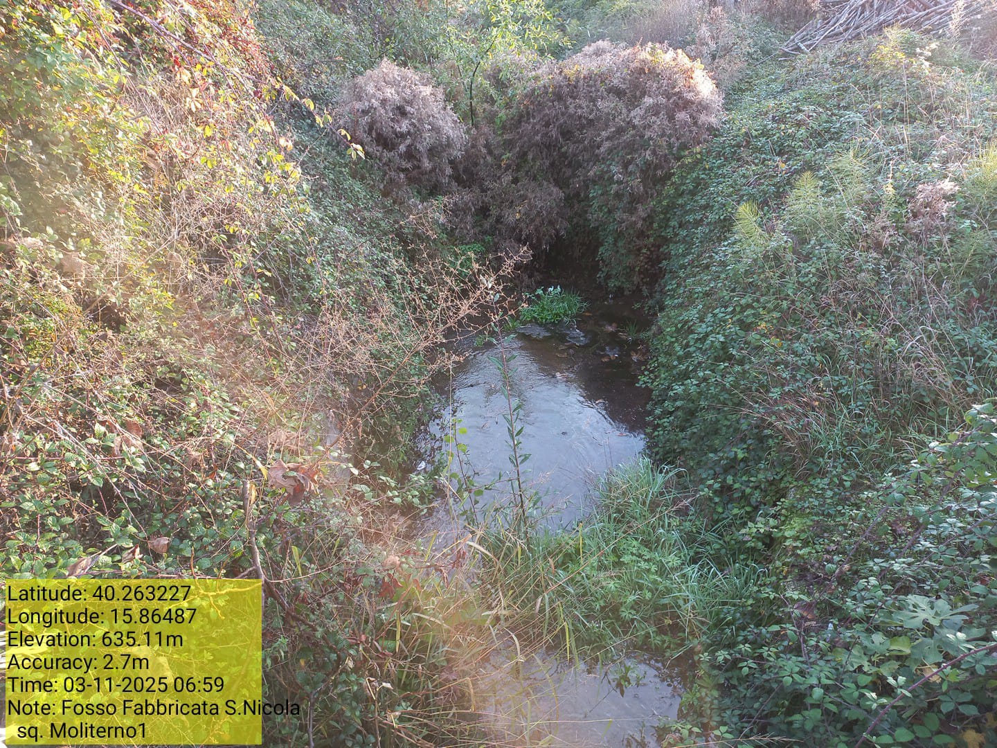 Galleria Fotografica Immagine