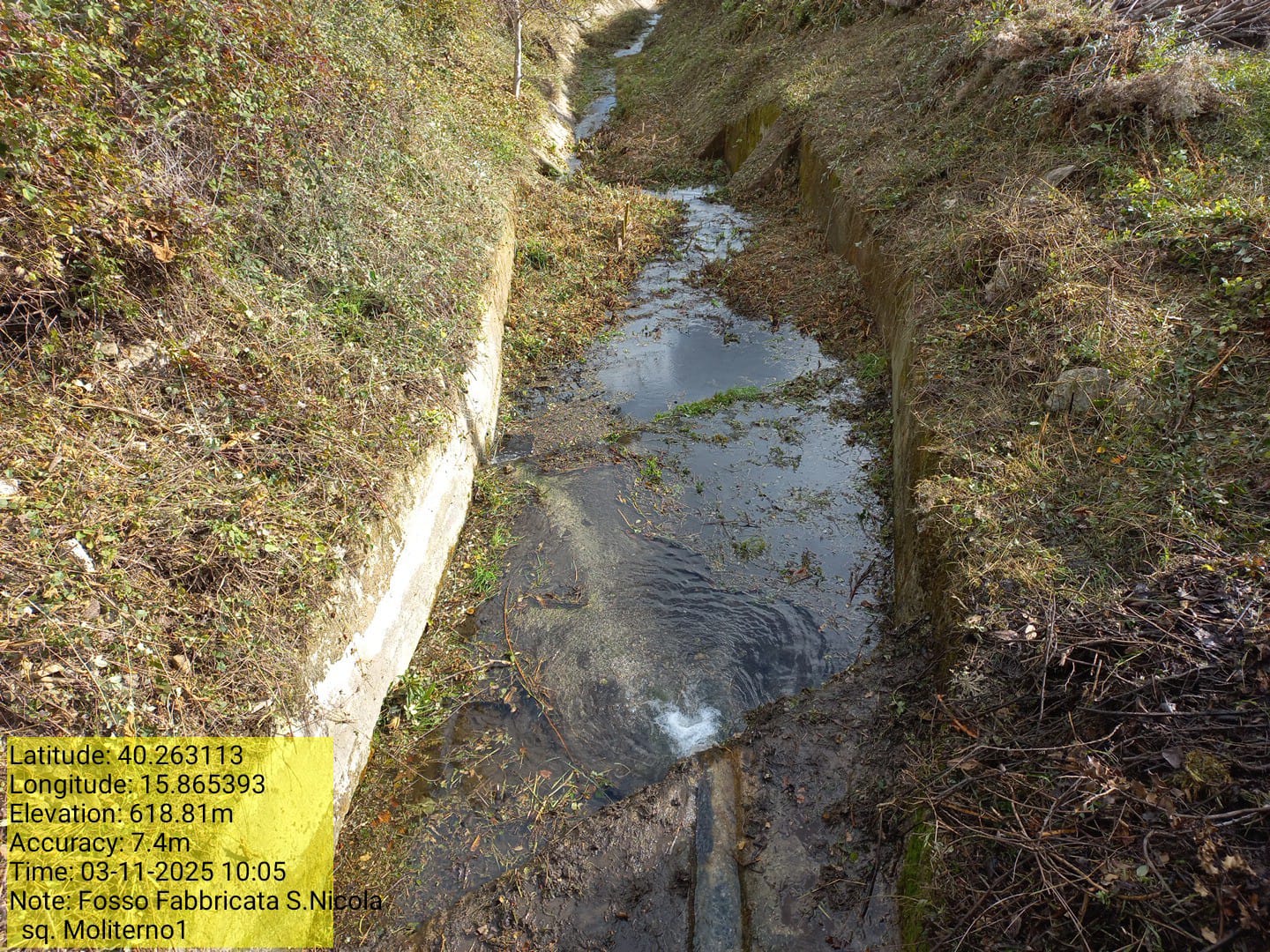 Galleria Fotografica Immagine