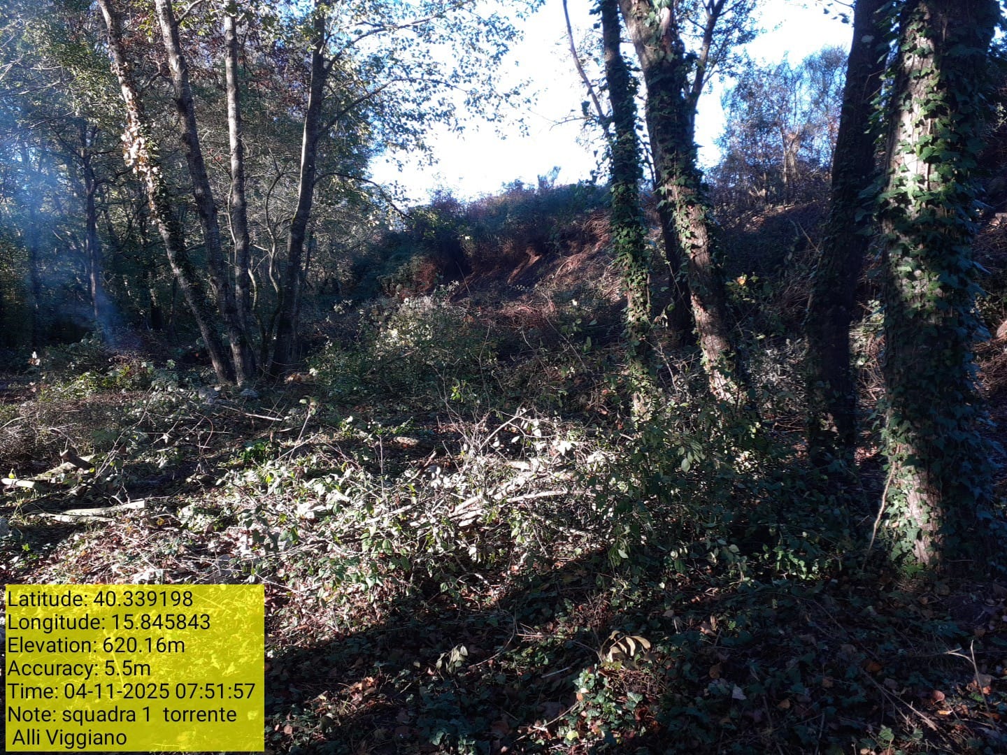 Galleria Fotografica Immagine